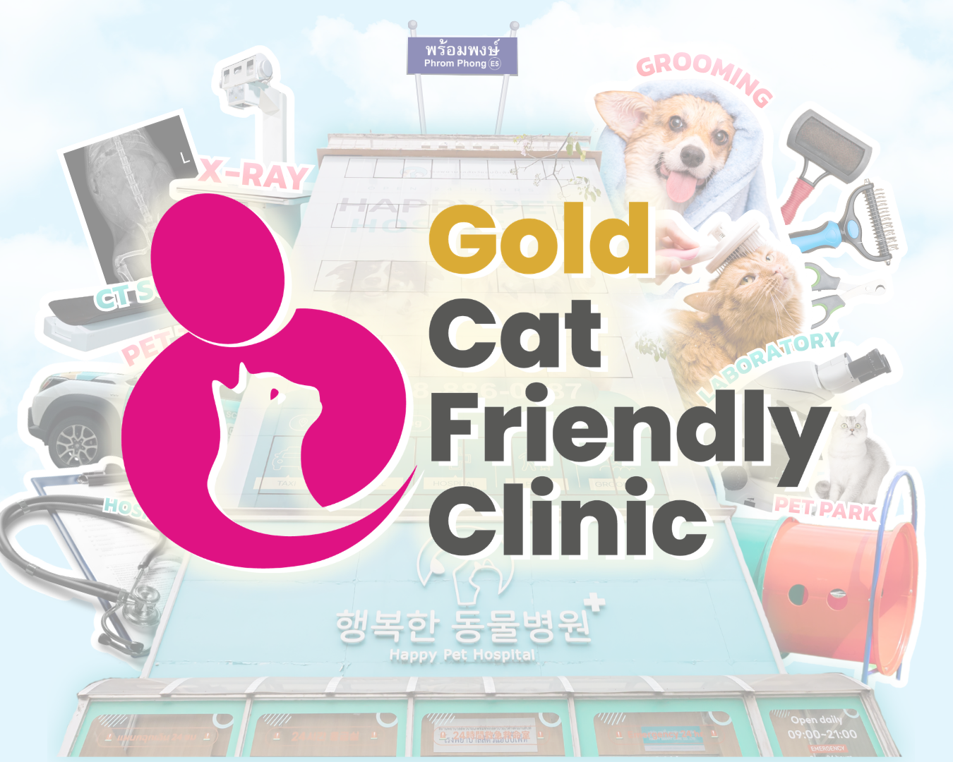 Gold Certificate Cat Friendly Clinic