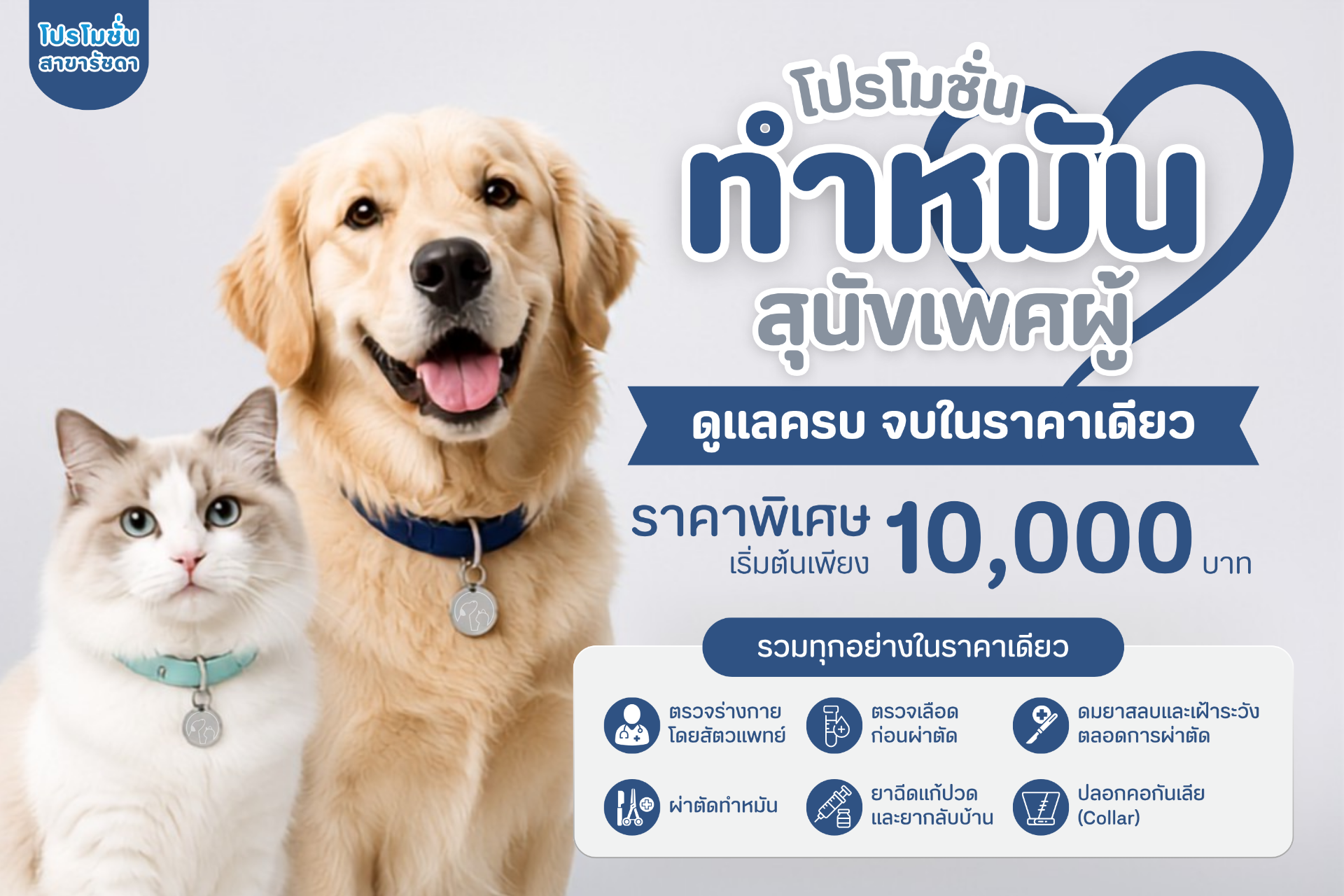 แพ็กเกจทำหมันครบวงจร ราคาเริ่มต้น 10,000 บาท