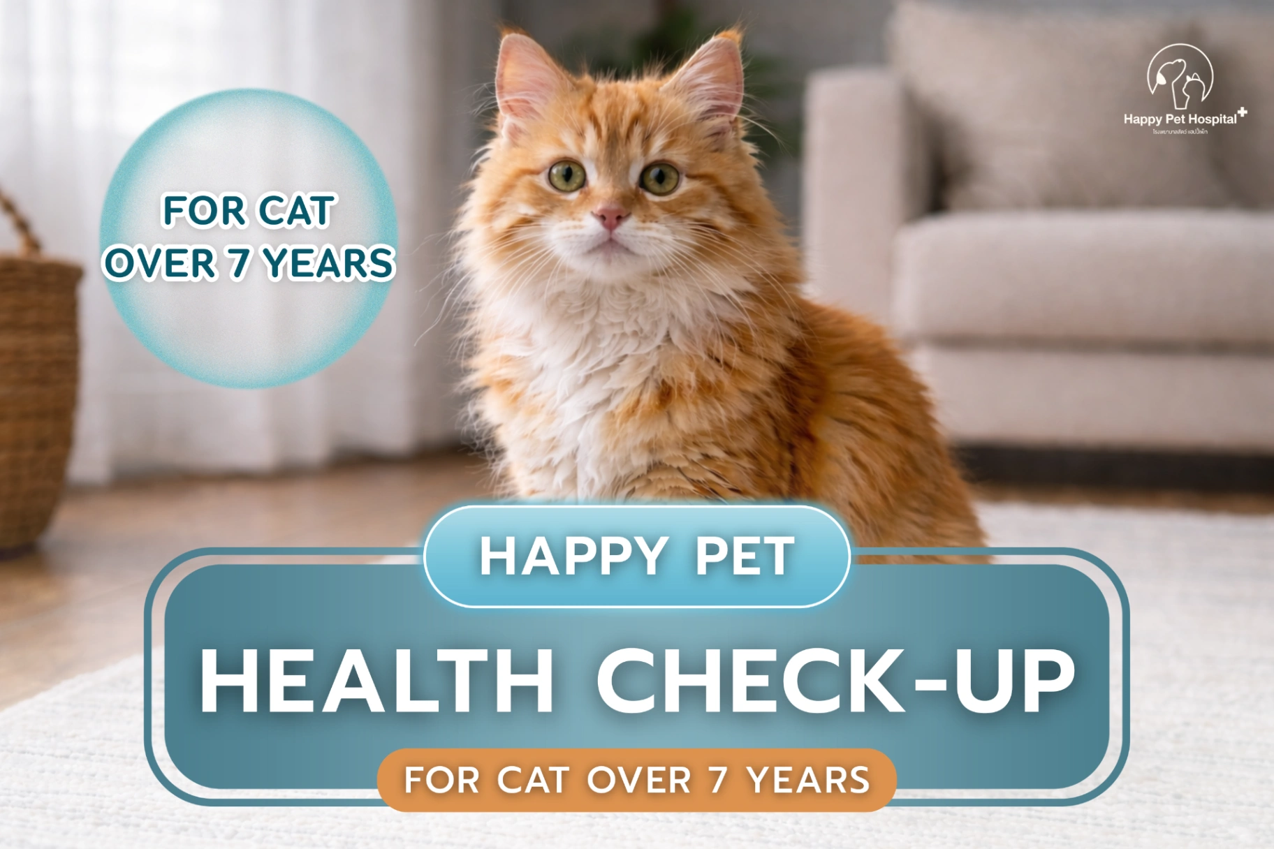 Health check for cats over 7 years old
