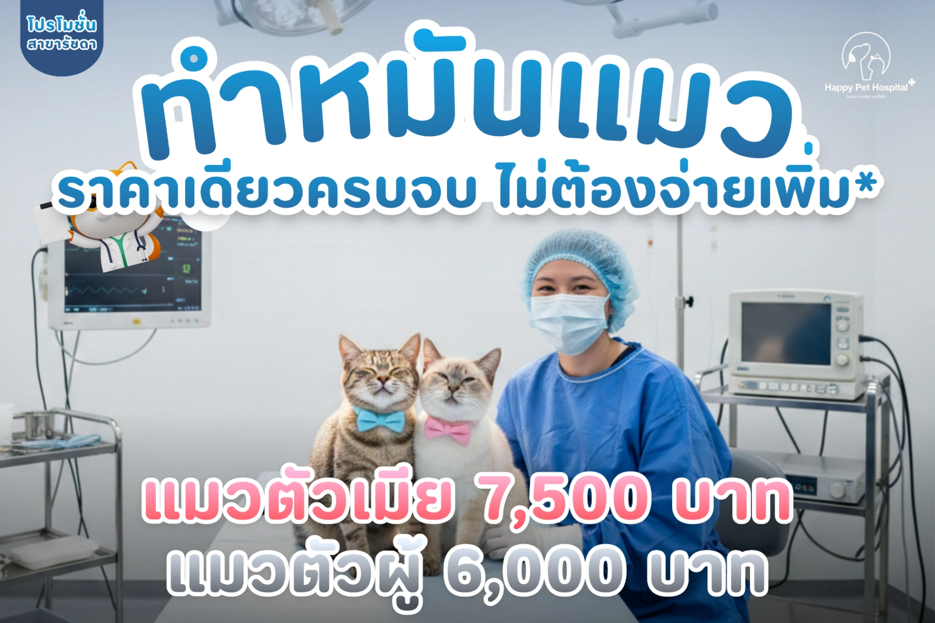 โปรโมชั่นทำหมันแมว