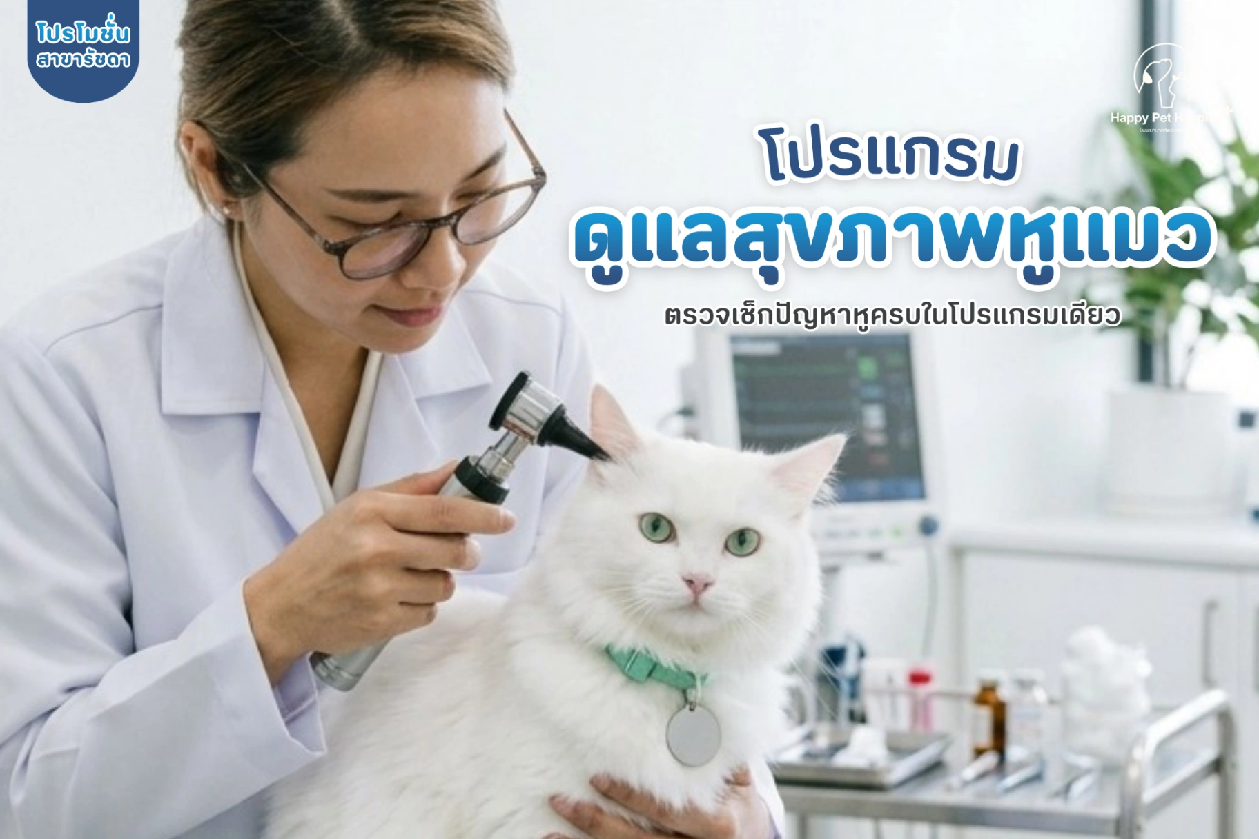 Cat Ear Care Program