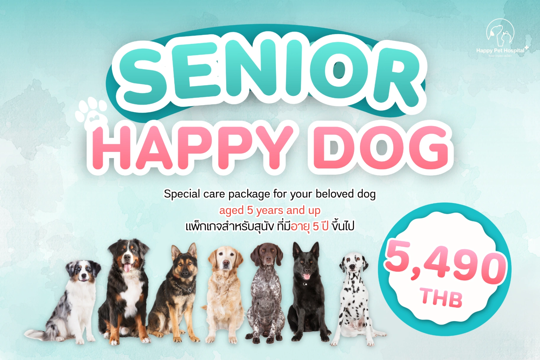 Senior Happy Dog : คัดกรองโรคยอดฮิตในสุนัข