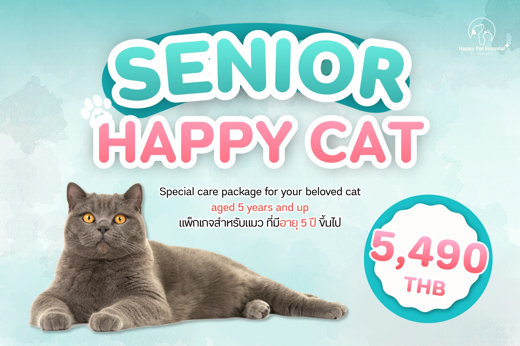 Senior Happy Cat : เช็กครบโรคสำคัญในแมววัยโต