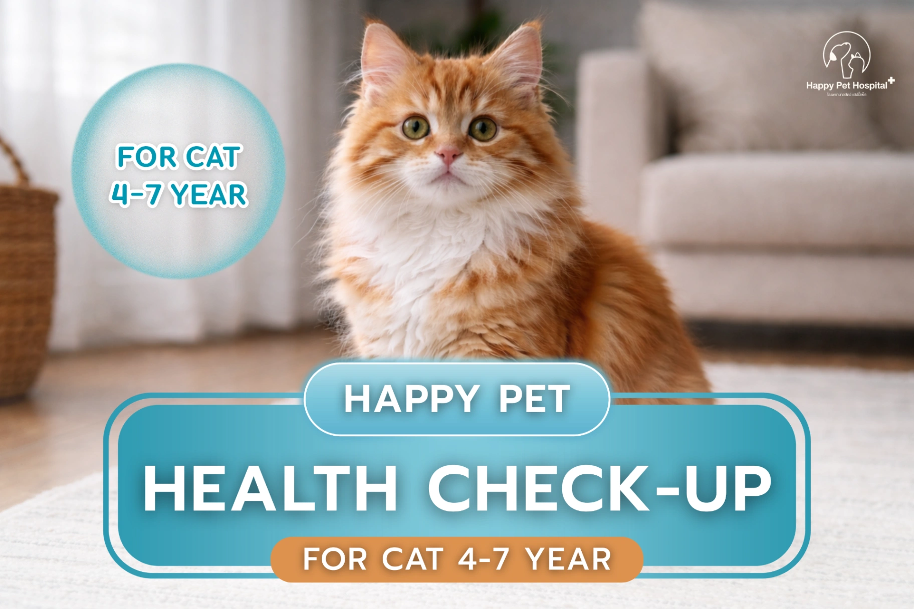 Health check for cats aged 4–7 years